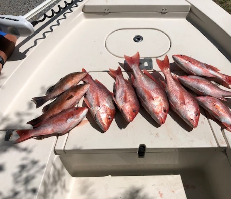 8 fishing in florida