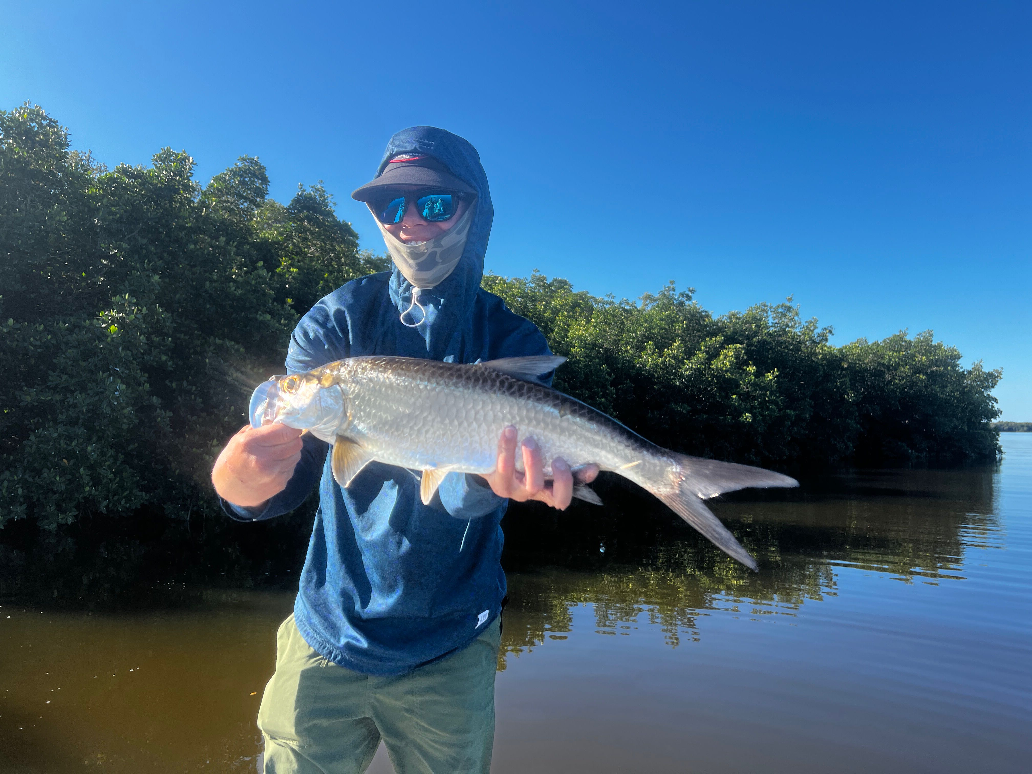 Tarpon catch displayed in shallow mangrove waters in Tavernier FL