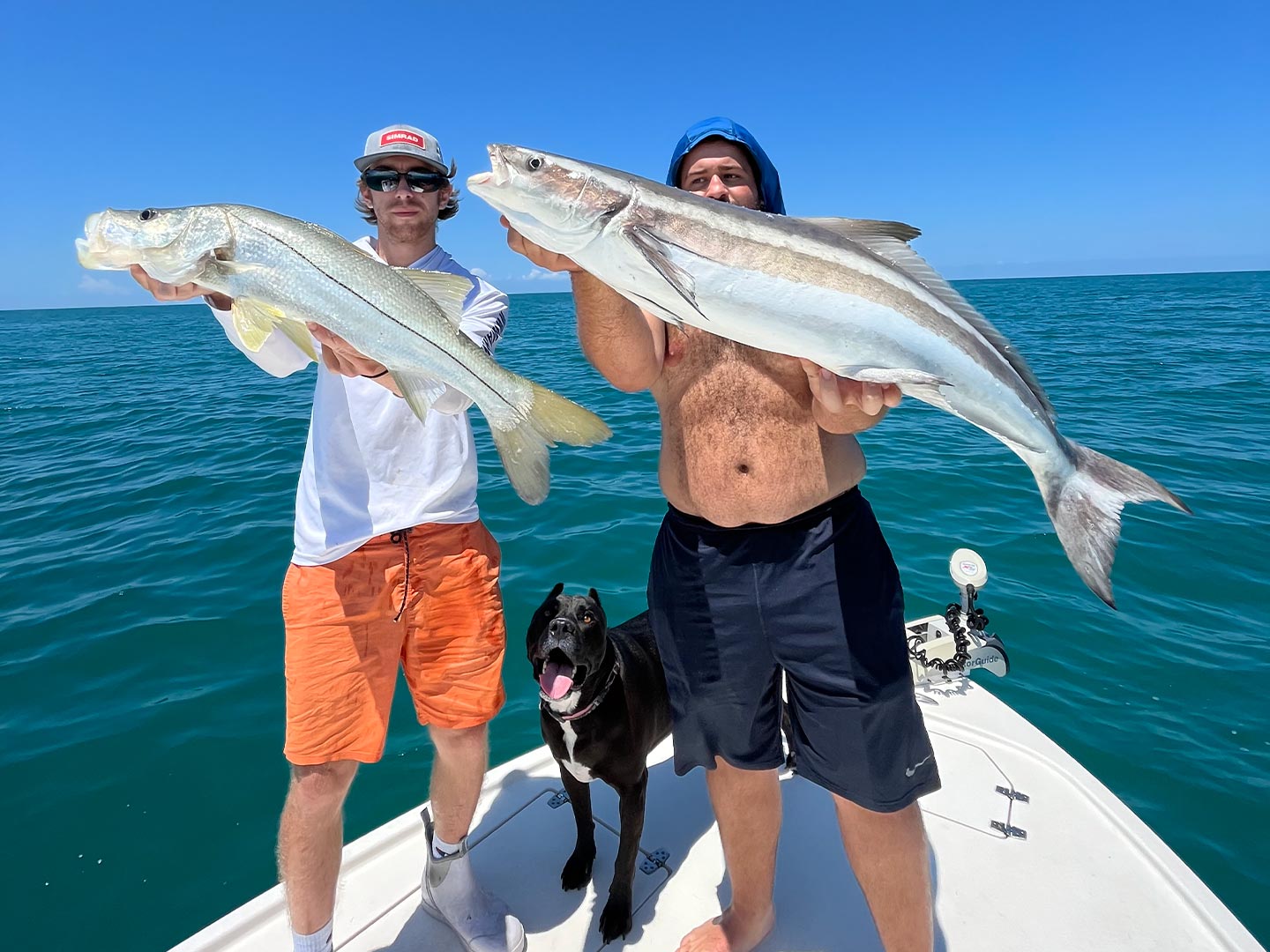 Two Cobia and Snook fish, 41 inches, in FL