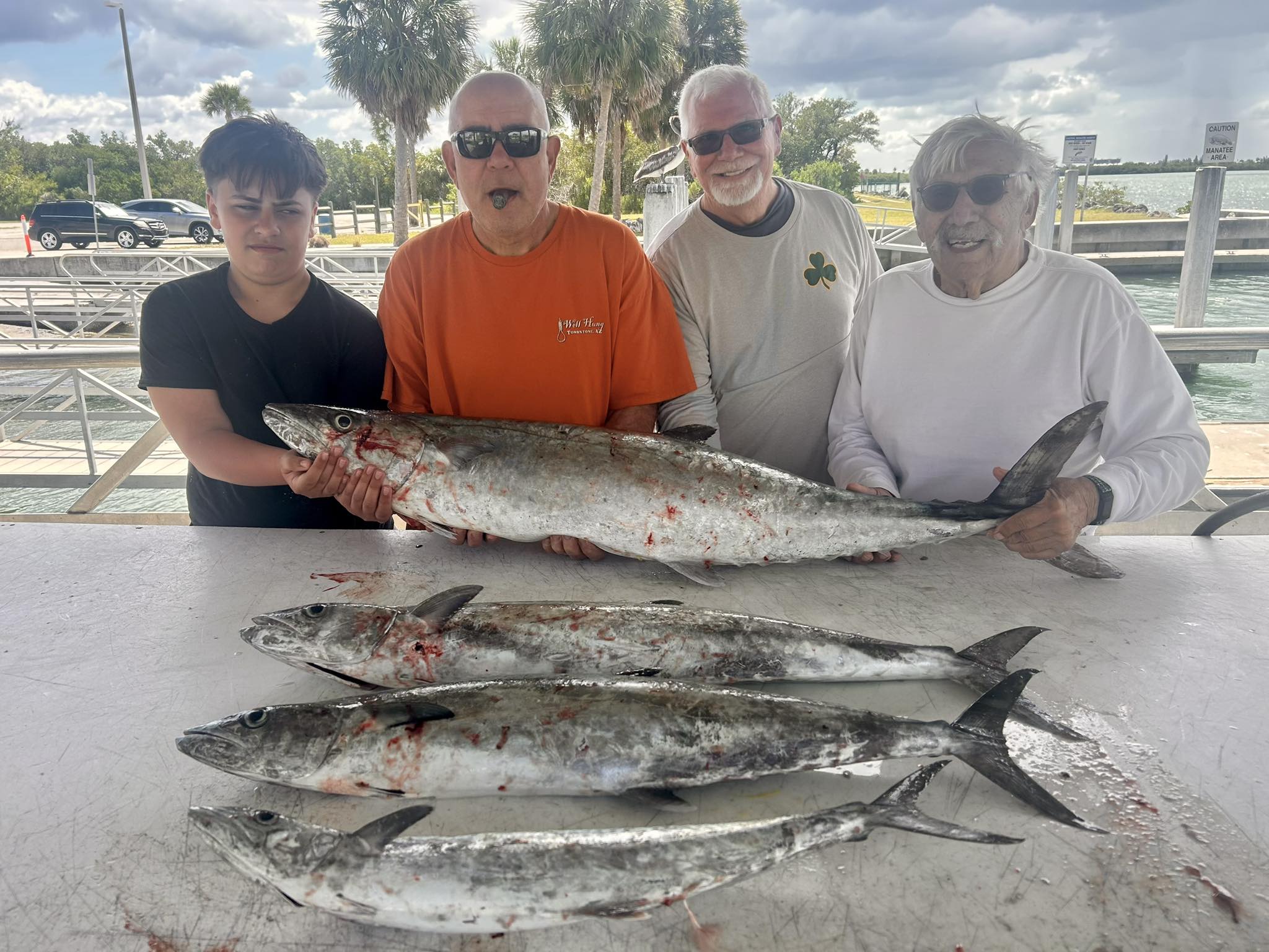 Four king mackerel fish displayed on cleaning table at fishing dock in Vero Beach FL