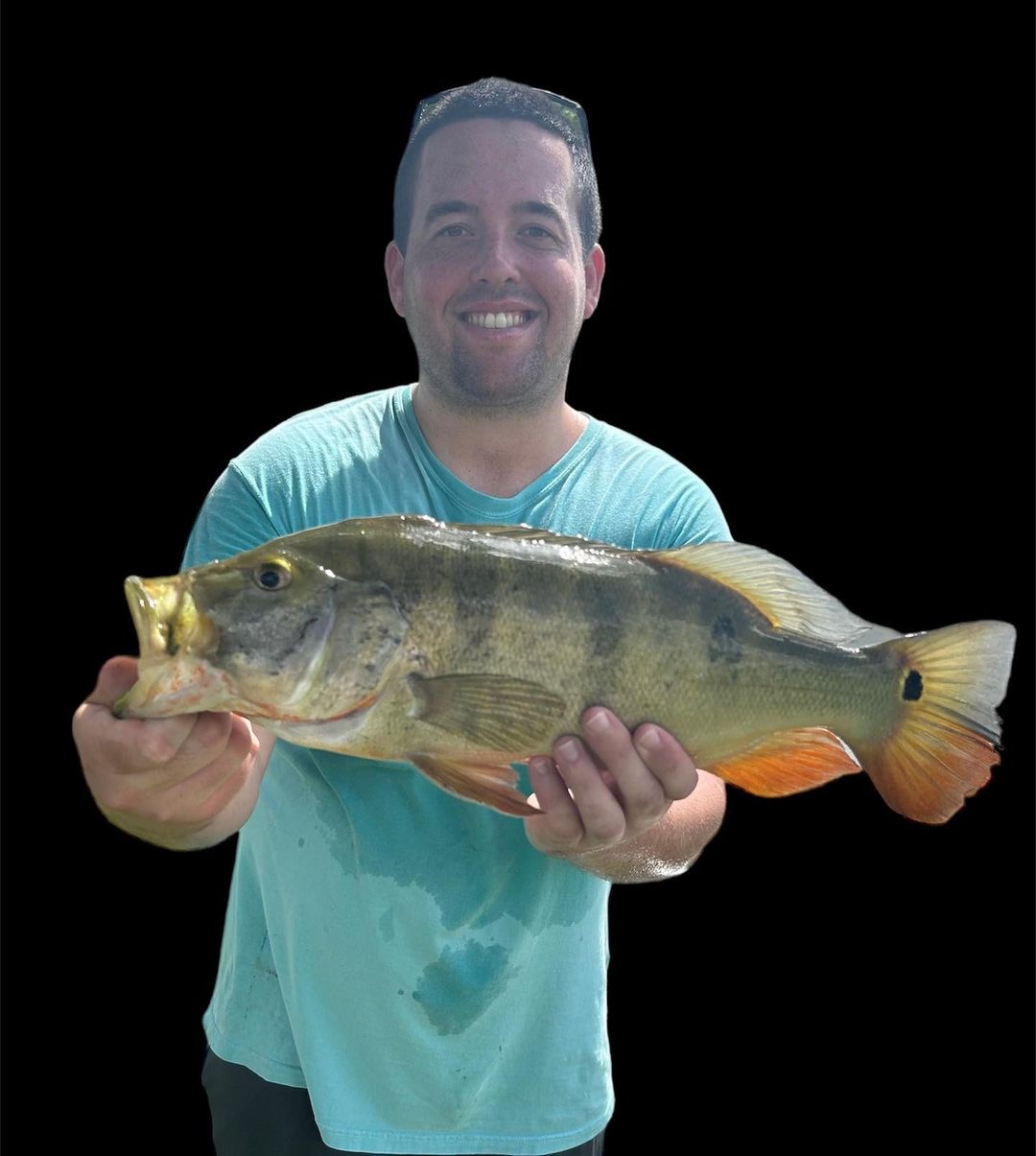Angler fishing in Hollywood