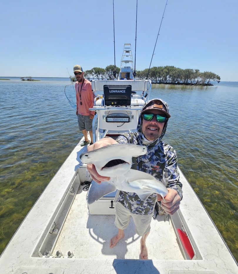 Bonnethead shark caught while fishing in Spring Hill FL waters