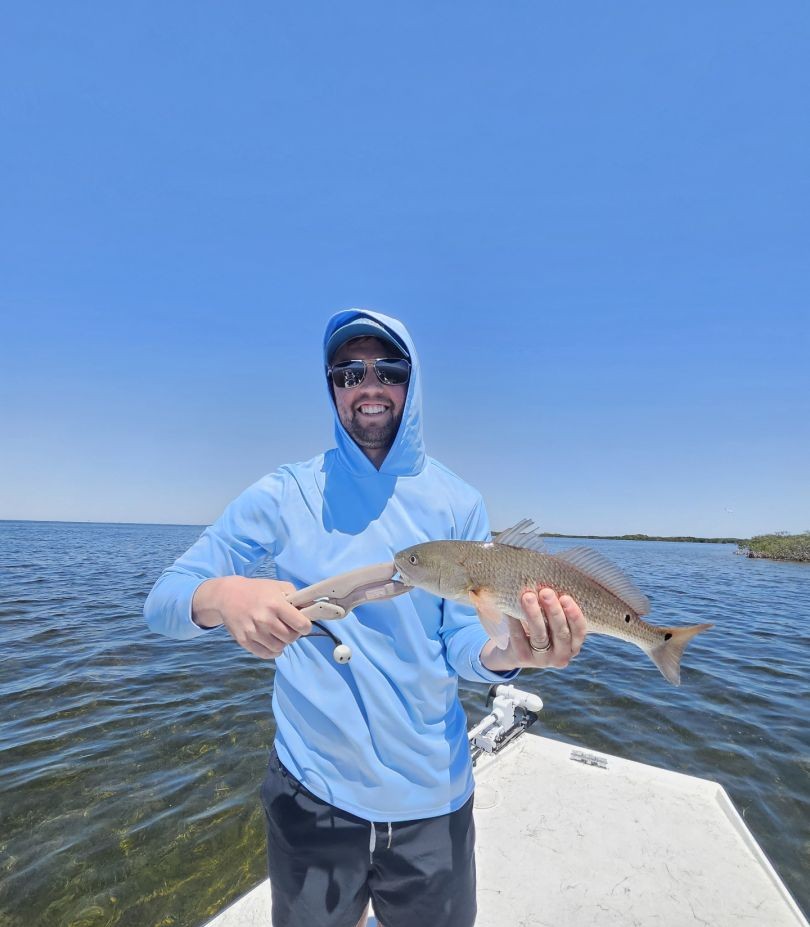 Redfish caught while fishing in Spring Hill FL waters