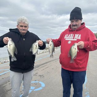 4 fishing in Arab location