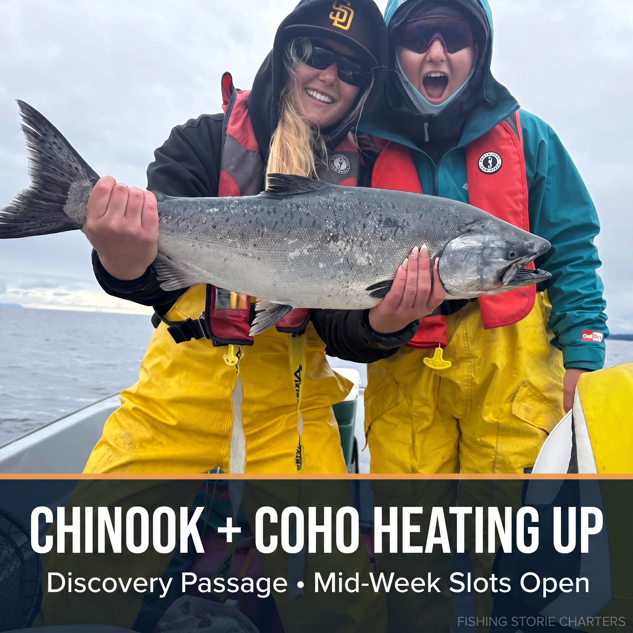Chinook salmon catch held on fishing charter boat in Campbell River BC