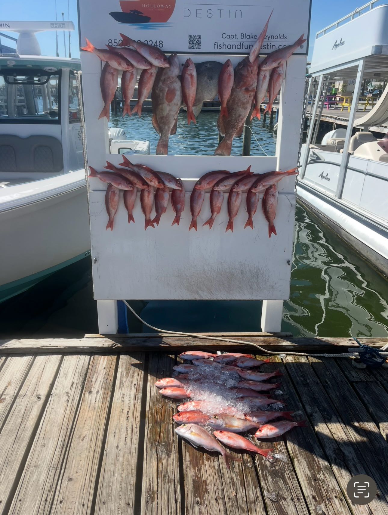 Two fish caught fishing in FL