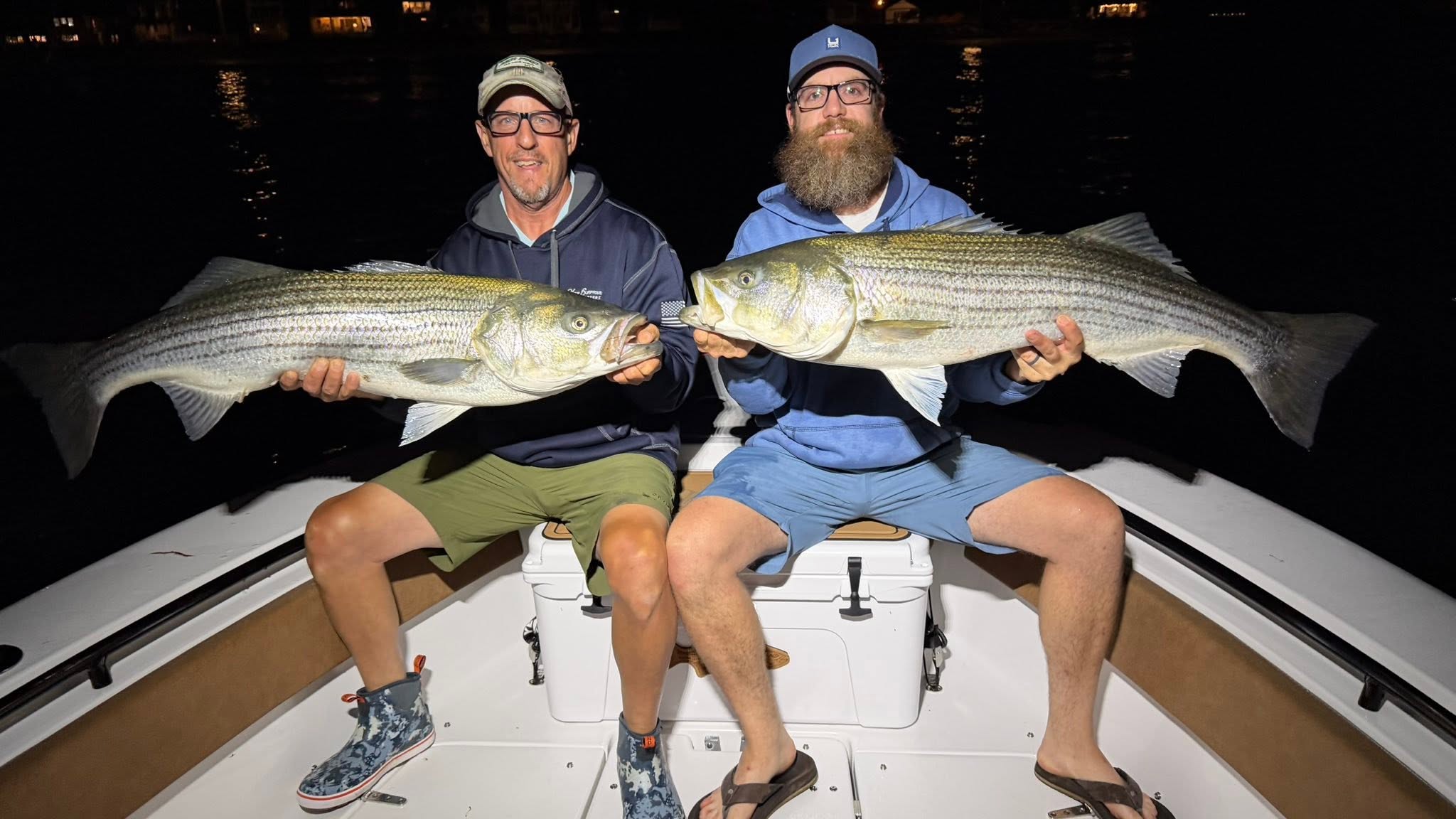 Two large striped bass caught during night fishing trip in Wells ME