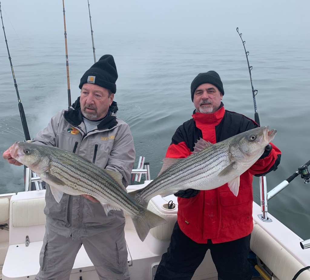 Two striped bass, fishing in VA