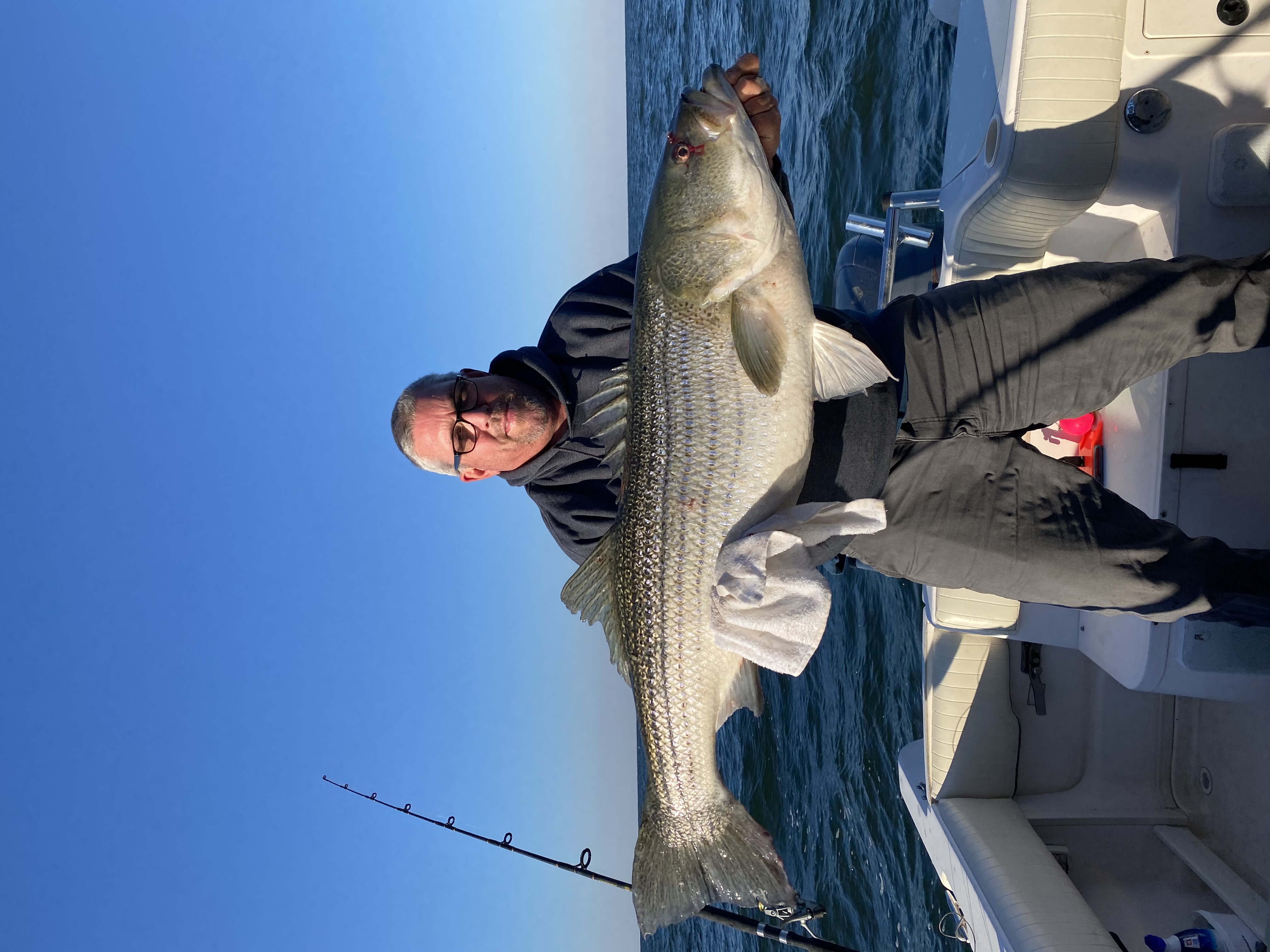 Striped bass caught in VA