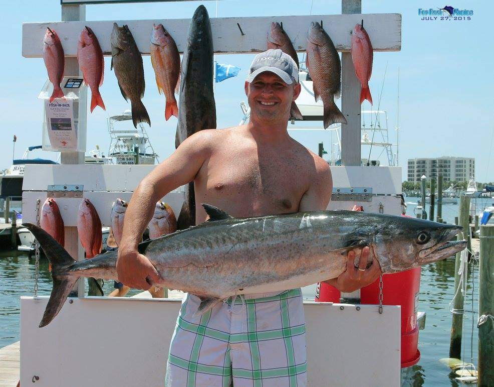 8 king mackerel, 34 inches long, caught while fishing in FL