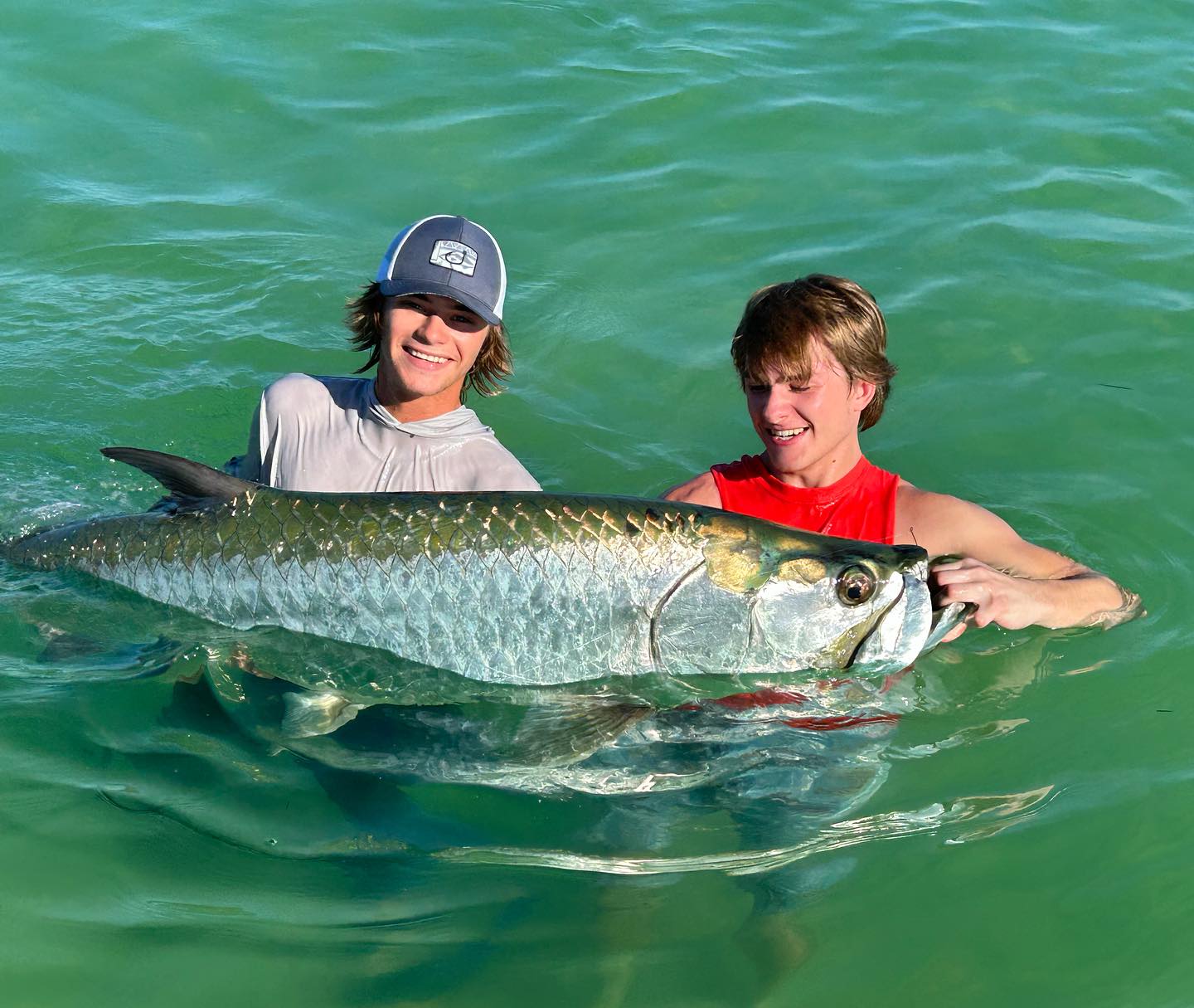 A tarpon fish caught in Sarasota, Florida