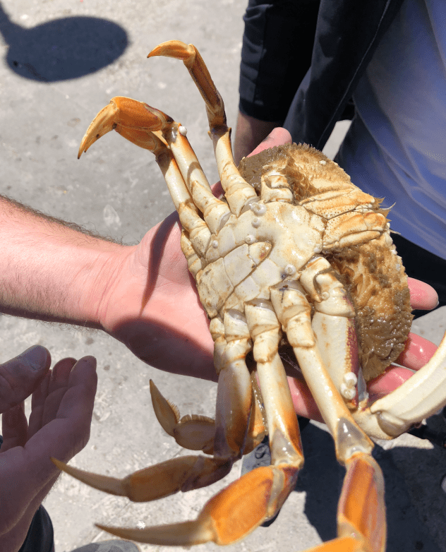 Fishing adventure in CA
