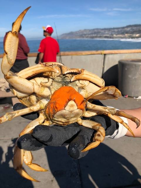 Person fishing in San Francisco