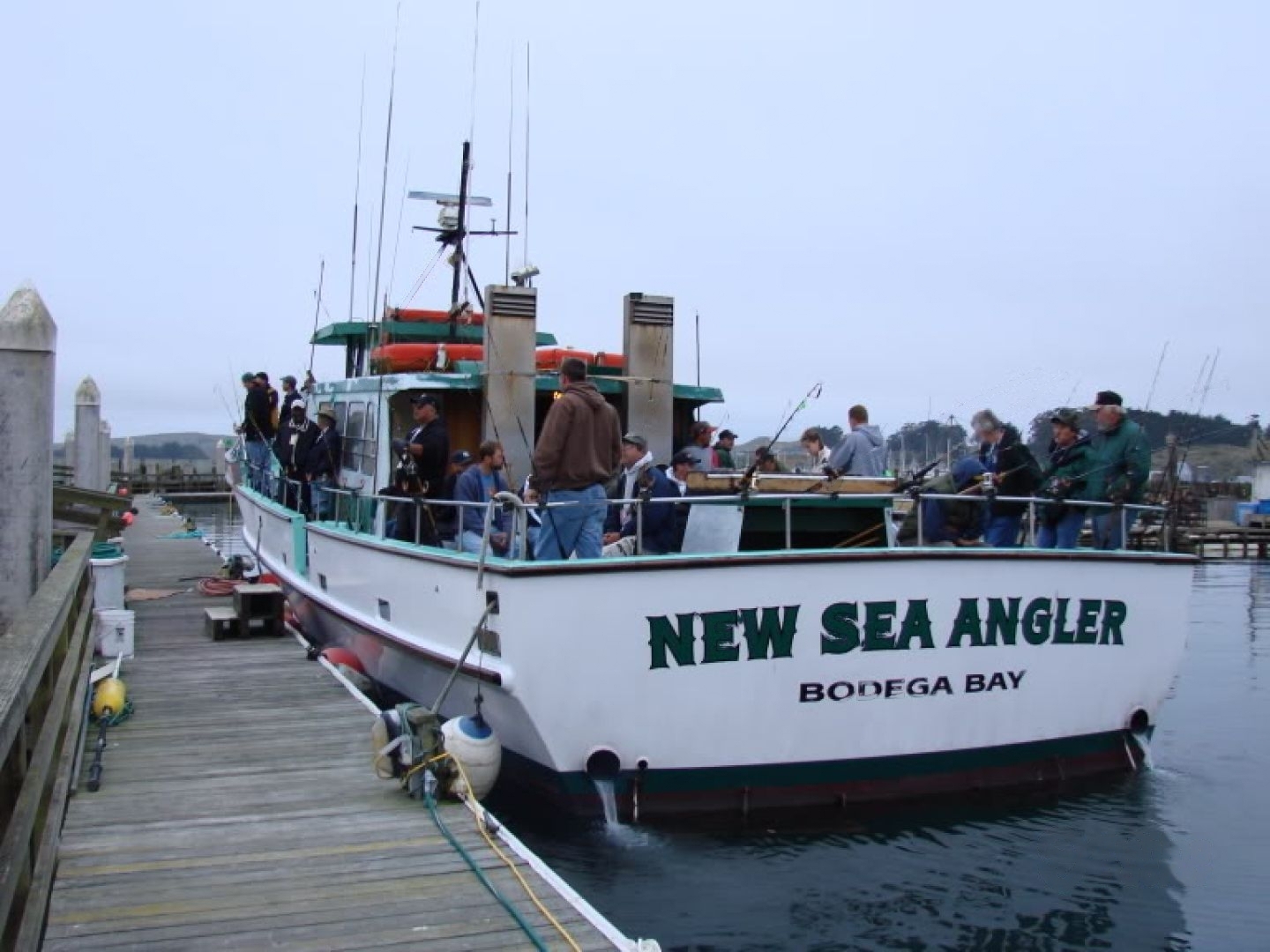 New Sea Angler