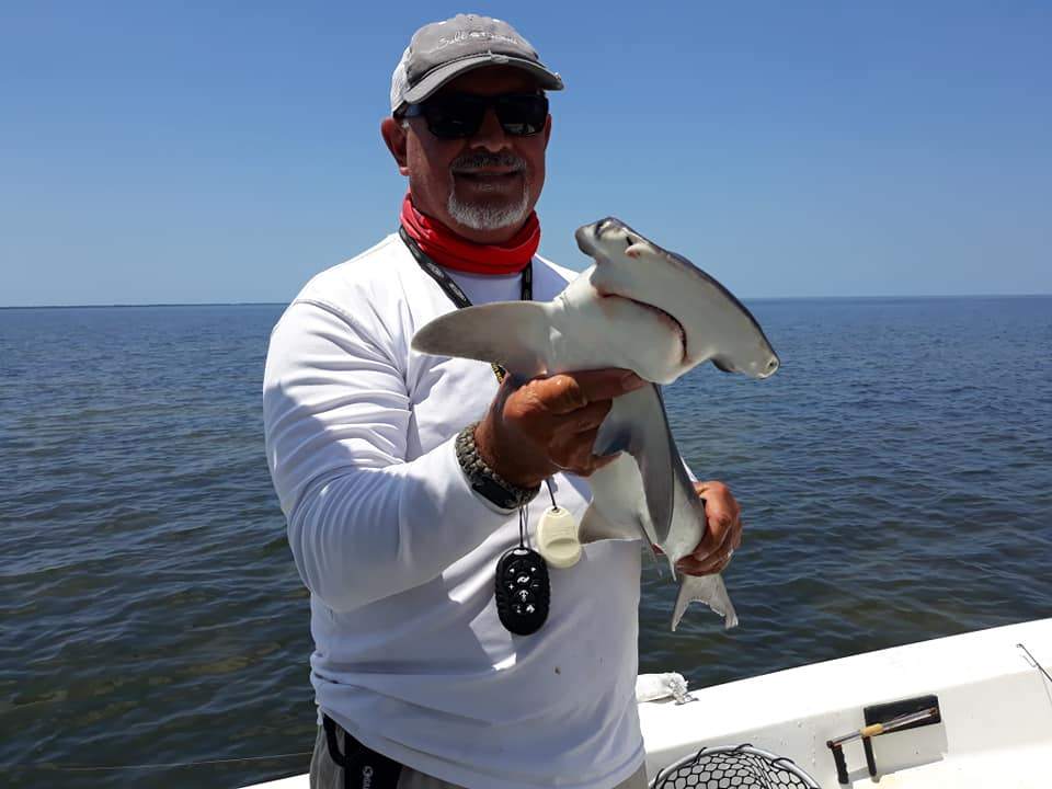 Bonnethead shark caught in Destin