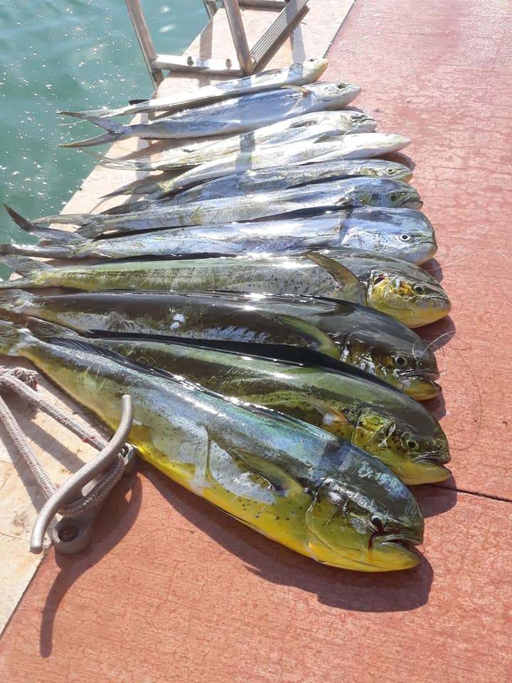 Fishing in FL with 2 fish