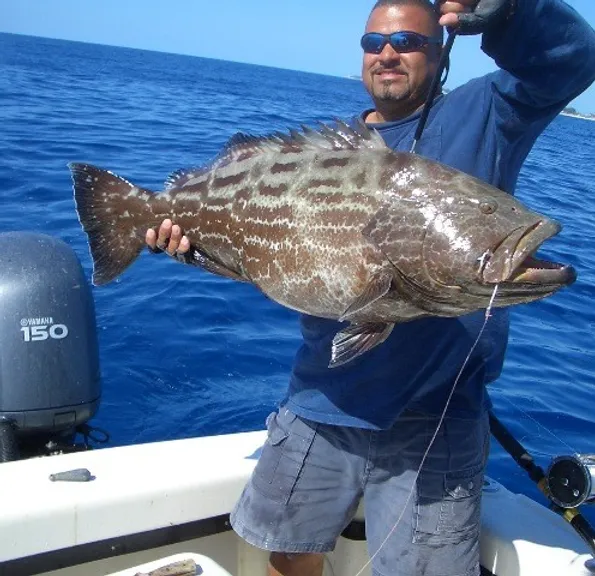 A single angler fishing in the stunning Florida outdoors