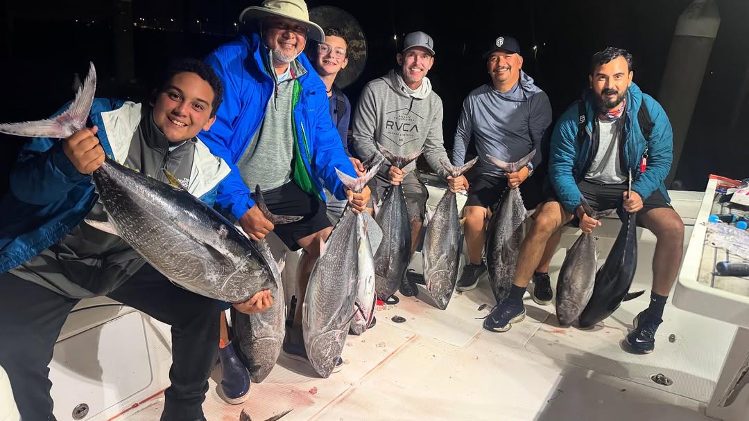 Four Atlantic Sailfish caught while fishing in Los Angeles