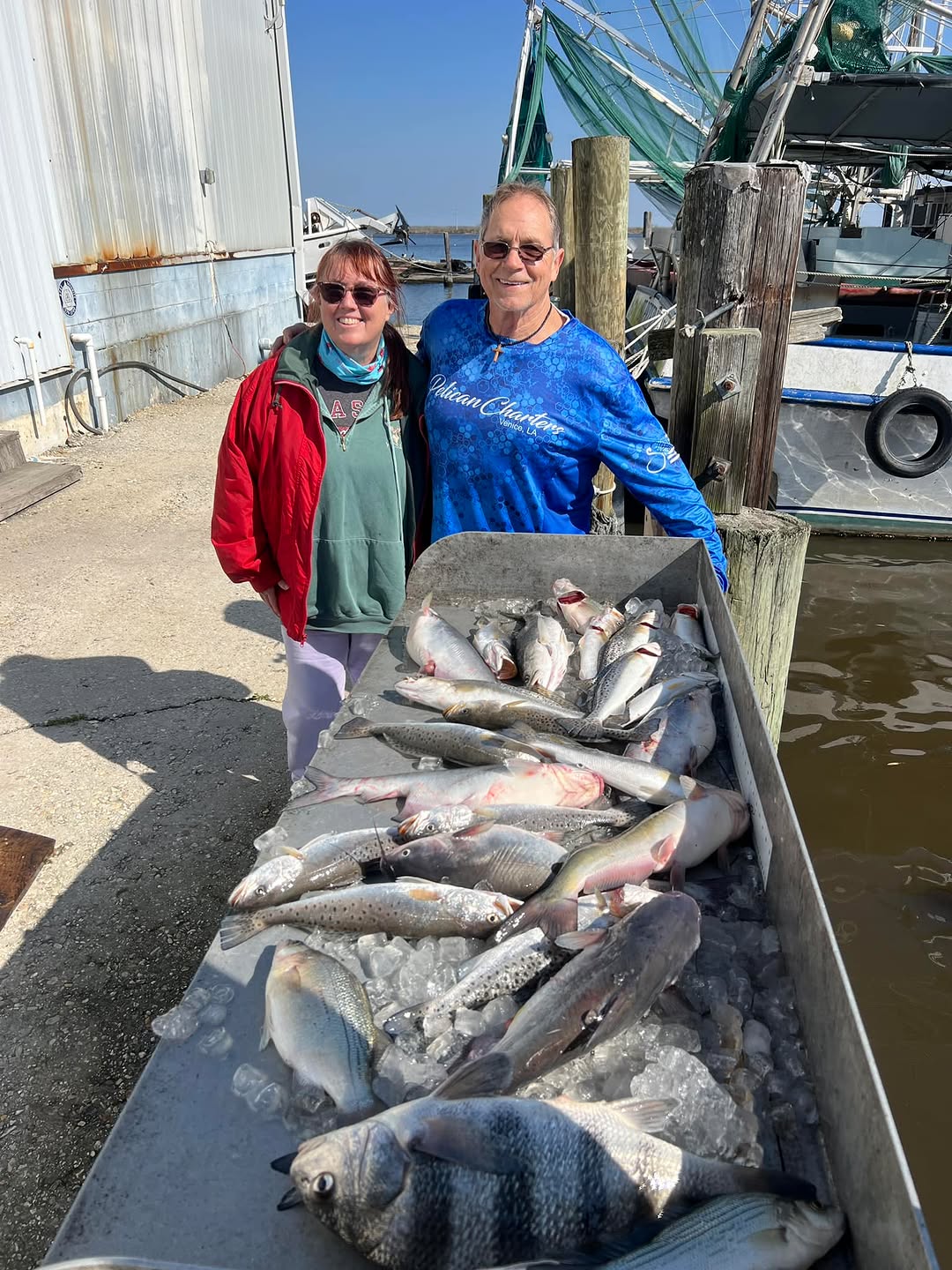 Black Drum fish caught fishing in LA