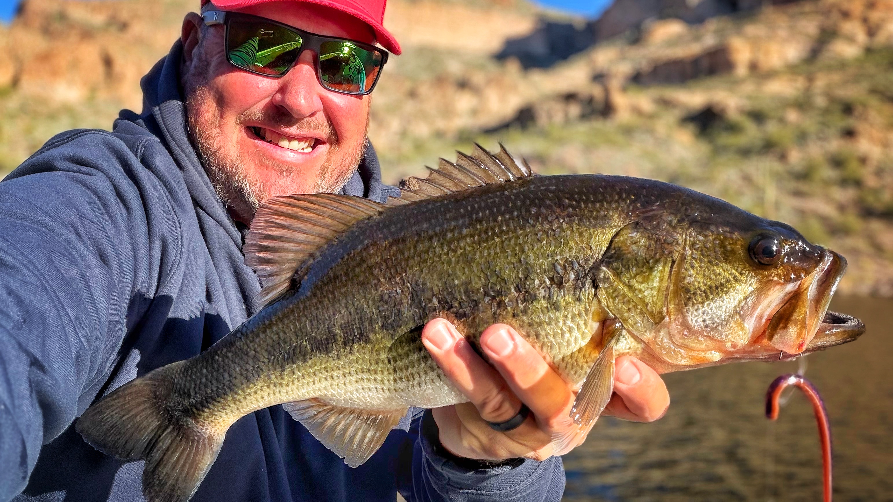 Largemouth Bass caught while fishing in AZ