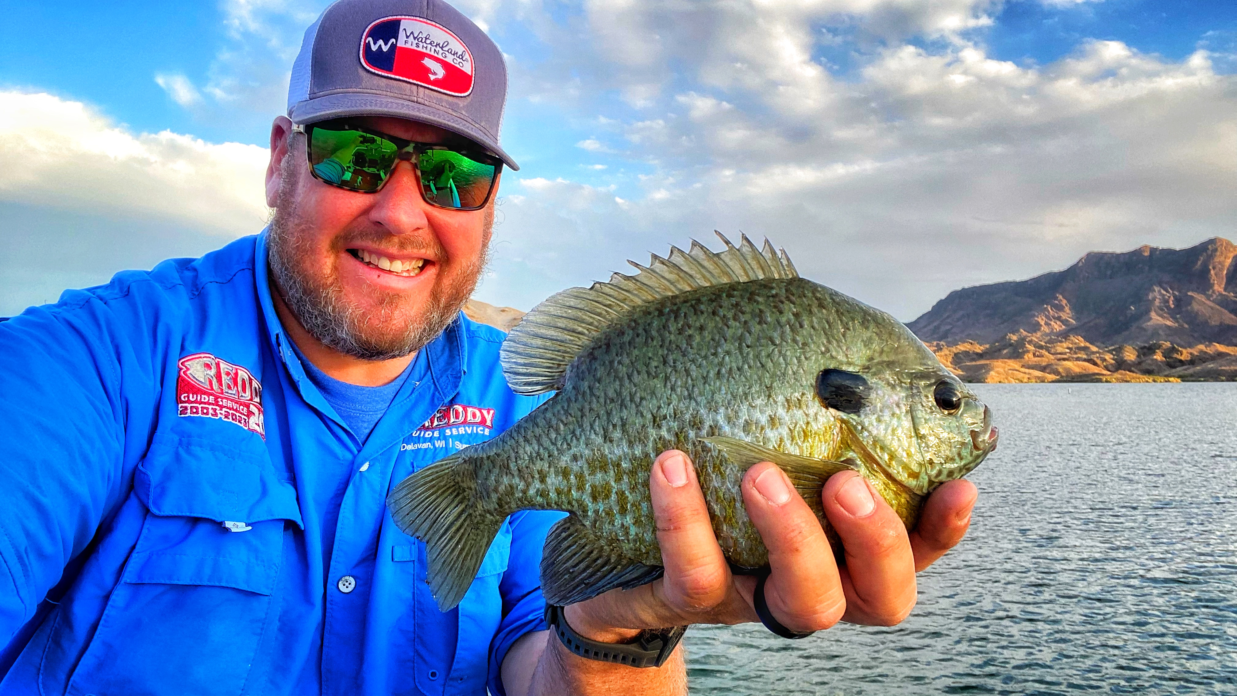 Bass fishing boat on Lake Havasu with Captain John Reddy - 5 hour Arizona fishing trip