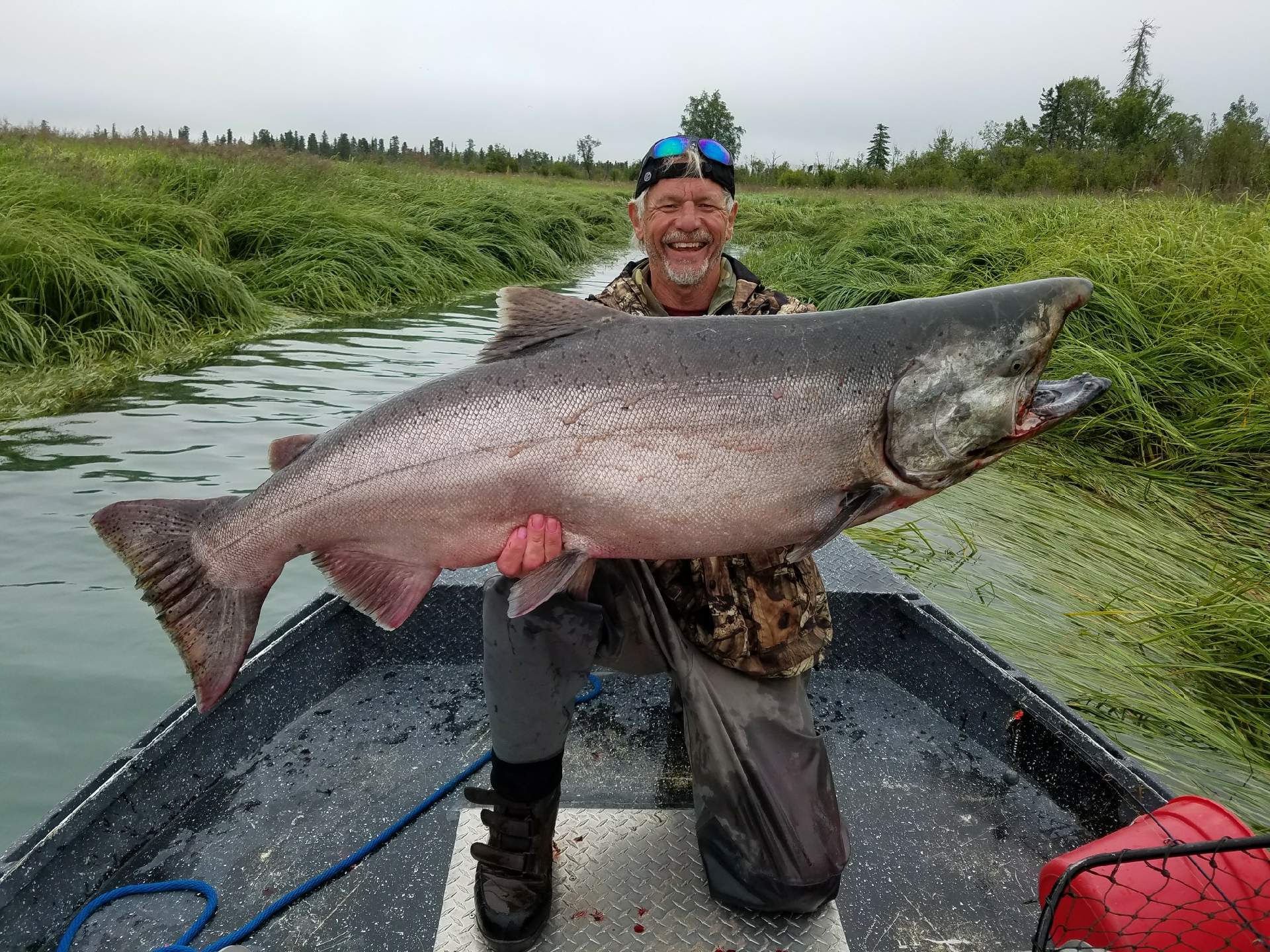 Chinook salmon, 51-inch fish caught while fishing in Kenai