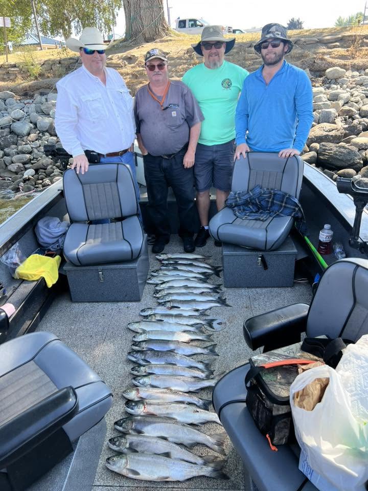 Fishing boat displaying catch of fish laid out on deck in Richland WA