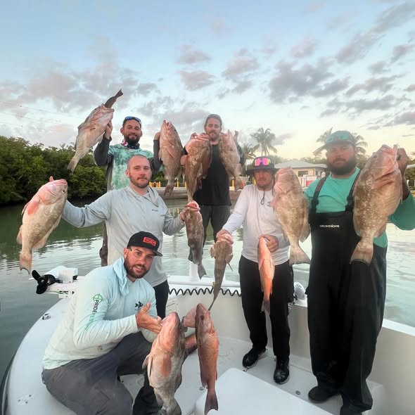 Successful fishing trip displaying multiple red grouper and other fish species caught in Danford St FL waters