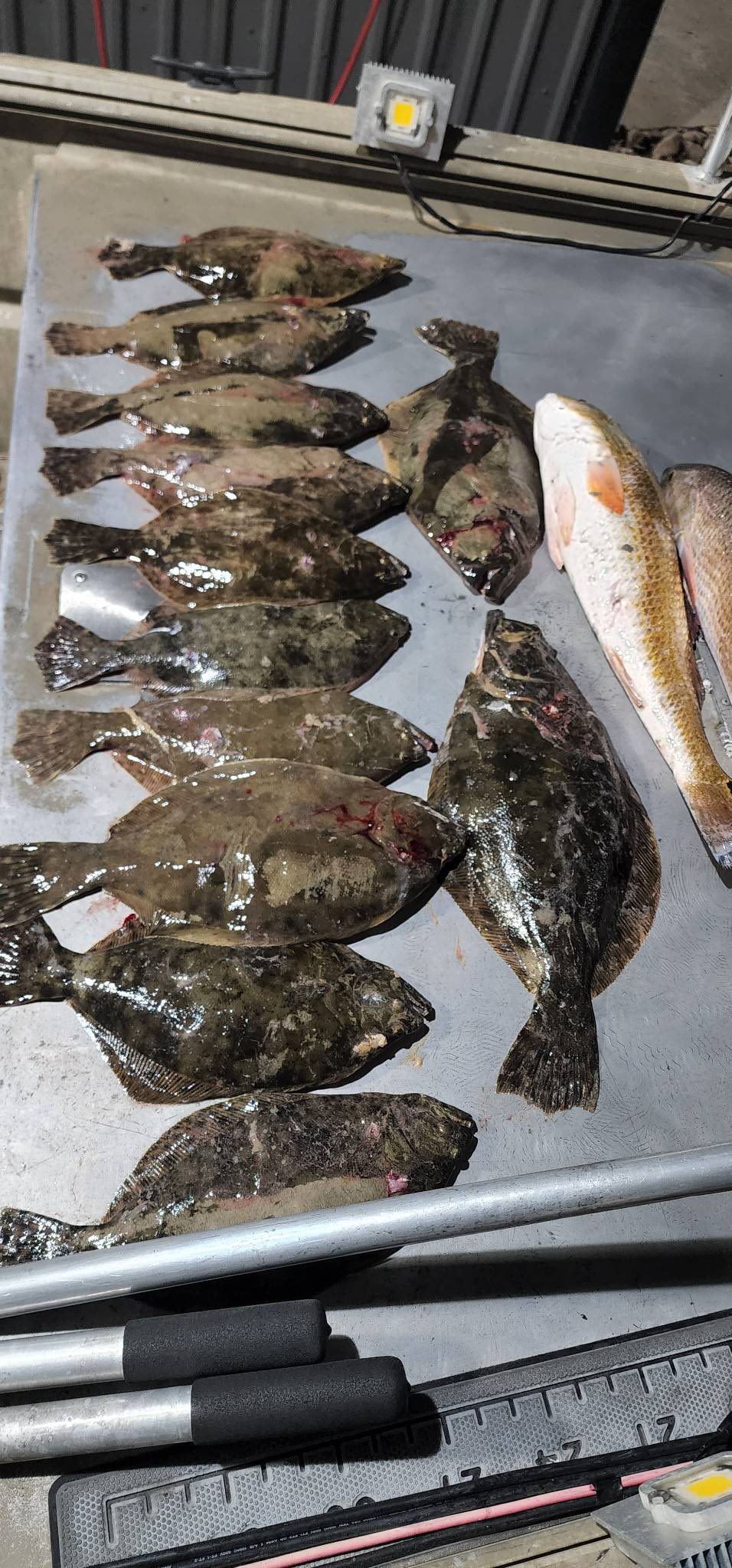 Two fishermen catching fish in Galveston