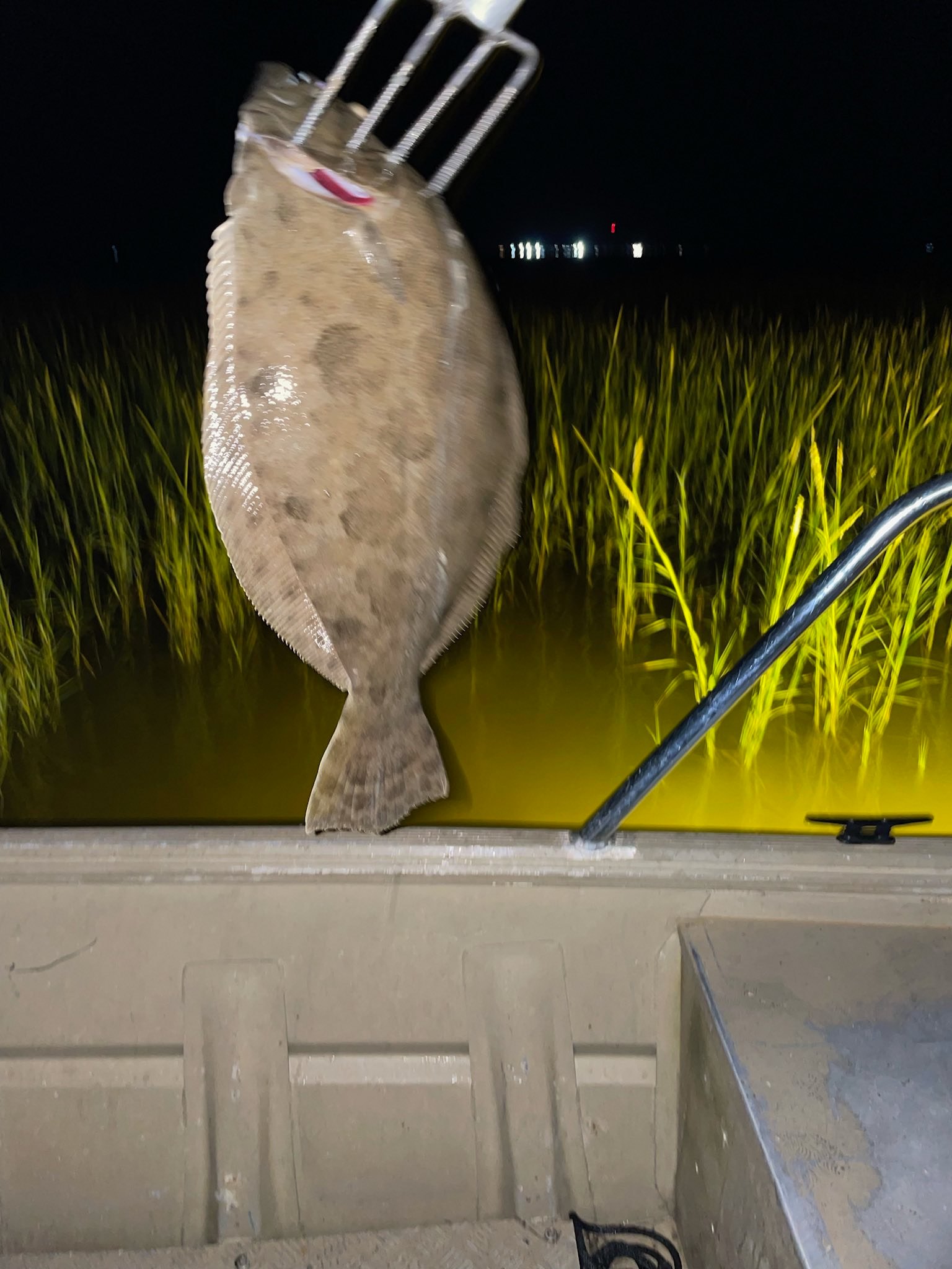 Summer Flounder caught while fishing in Texas