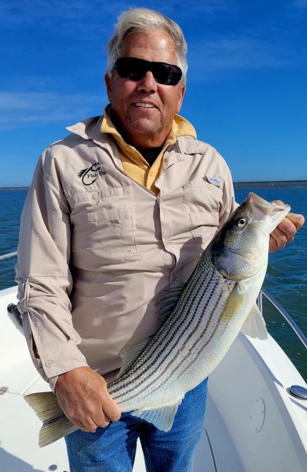 Striped bass catch displayed on fishing boat in Atlantic City NJ waters