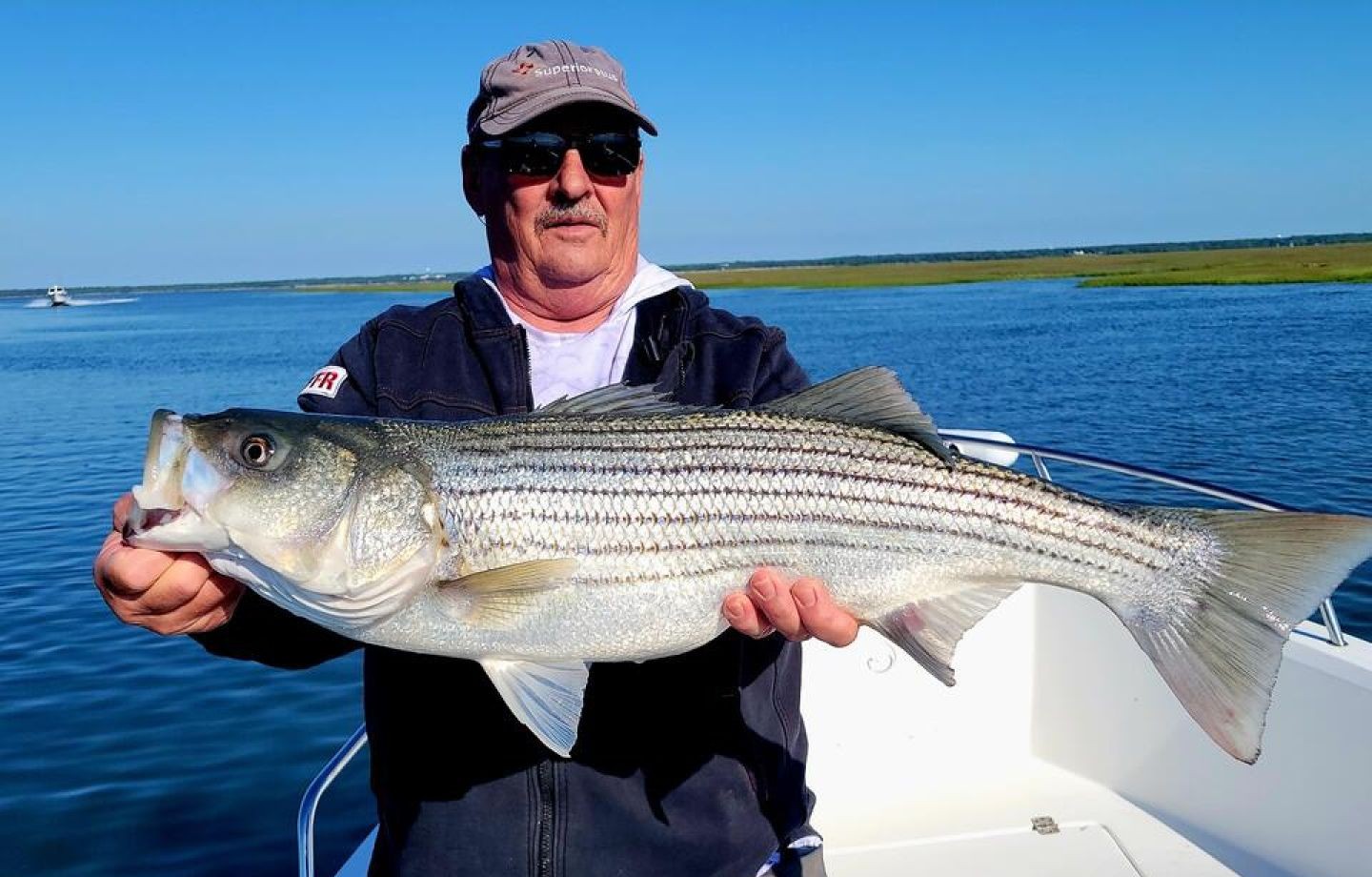 Striped bass catch displayed on fishing boat in Atlantic City NJ waters