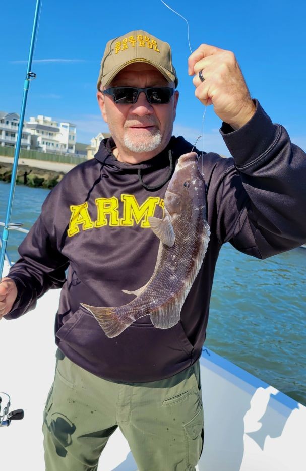 Tautog caught while fishing in Atlantic City NJ waters