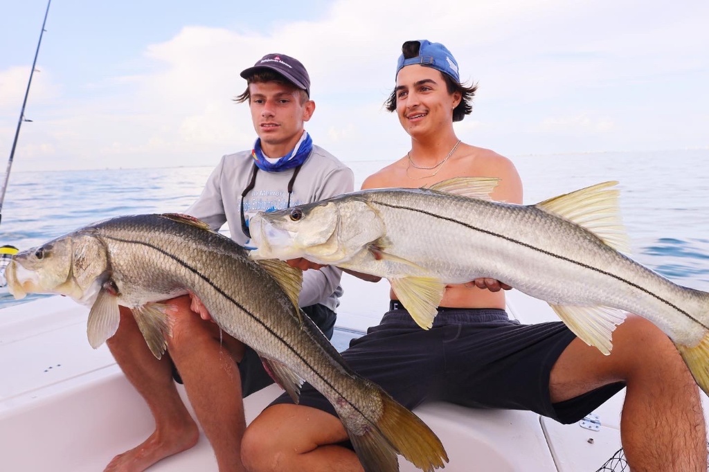 Two snook, 37 inches, fishing in Naples
