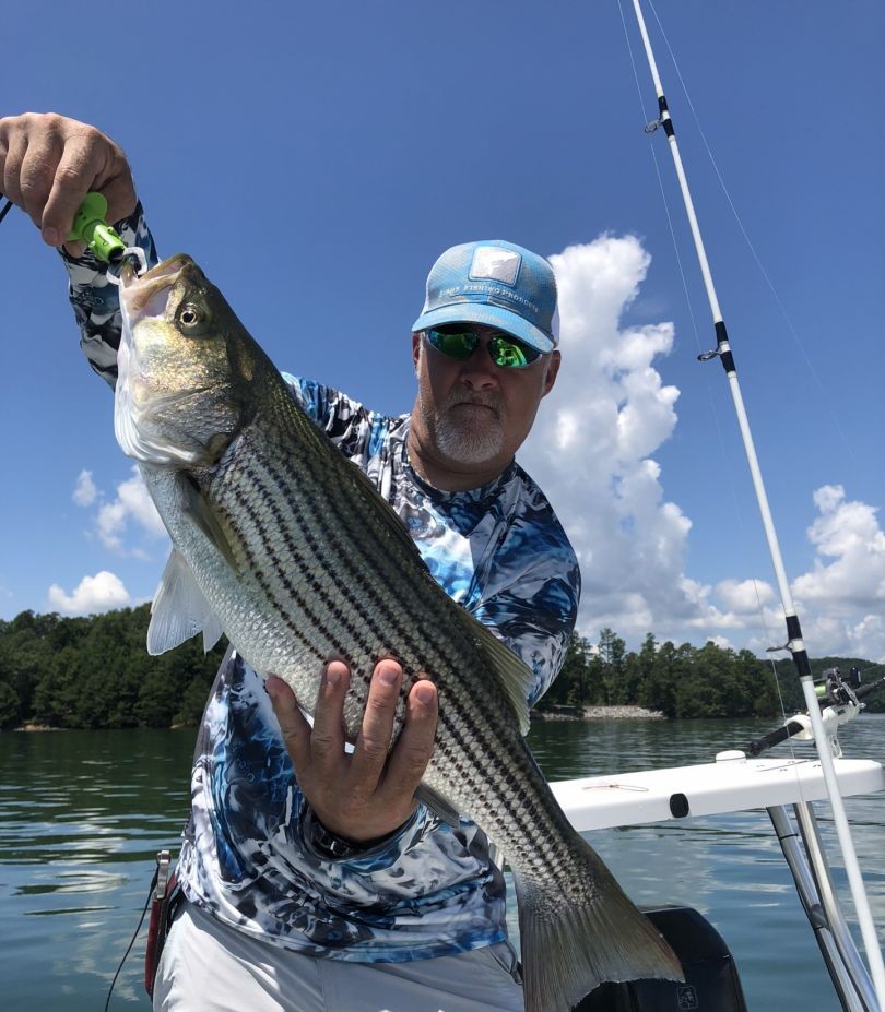 Striped bass caught while fishing in Cumming