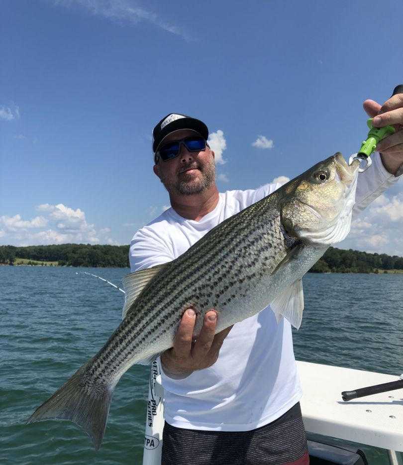 Striped bass caught while fishing in Cumming