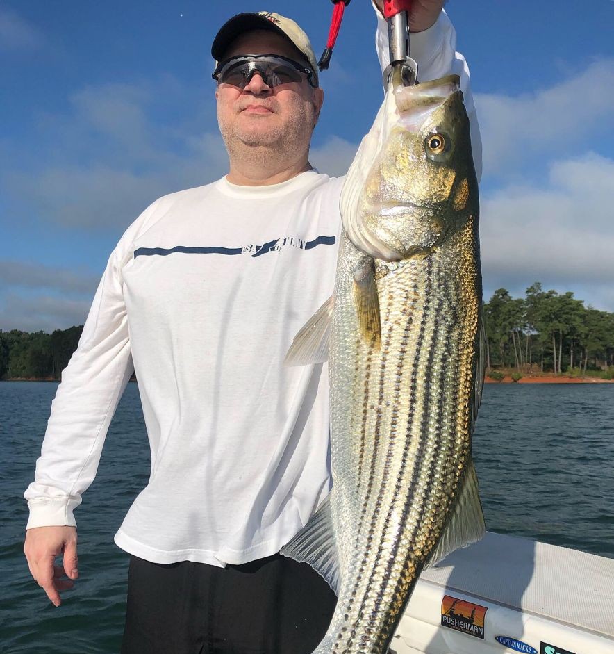 Striped bass caught while fishing in Cumming