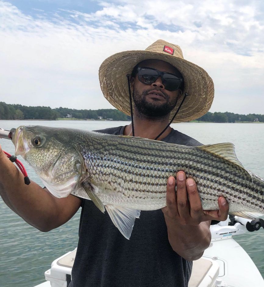 Striped bass caught in Cumming, Georgia