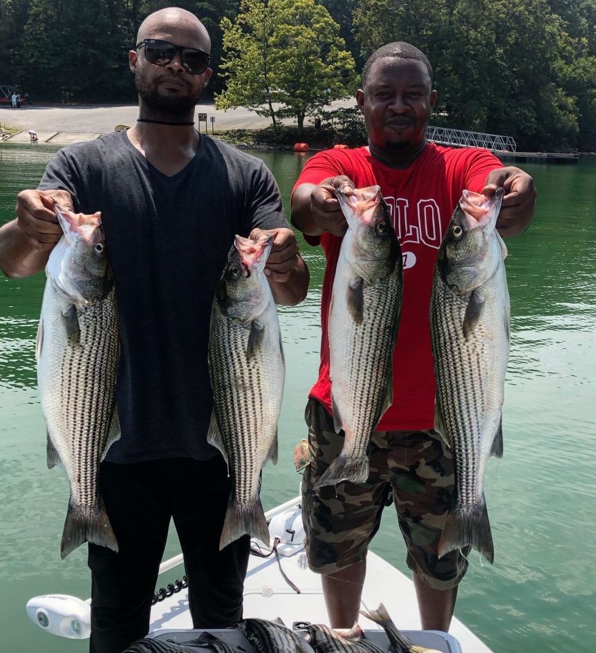 Four striped bass caught while fishing in GA