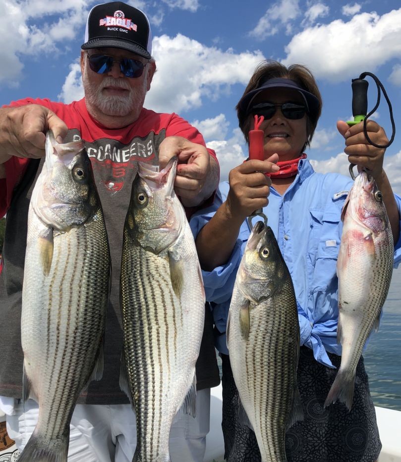 4 striped bass caught while fishing in GA