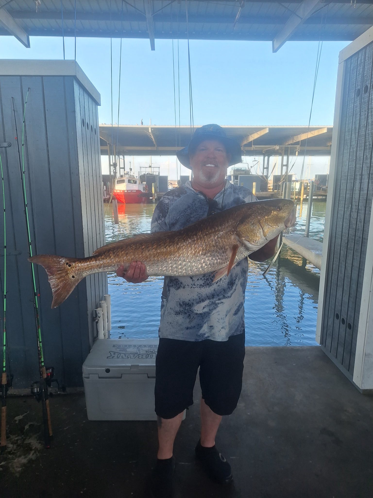 Large redfish catch displayed at marina dock in Galveston Texas