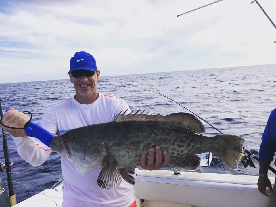 Gag Grouper, a big fish caught in Madeira Beach