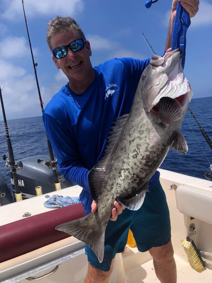 A large gag grouper caught by a lone angler in Madeira Beach.