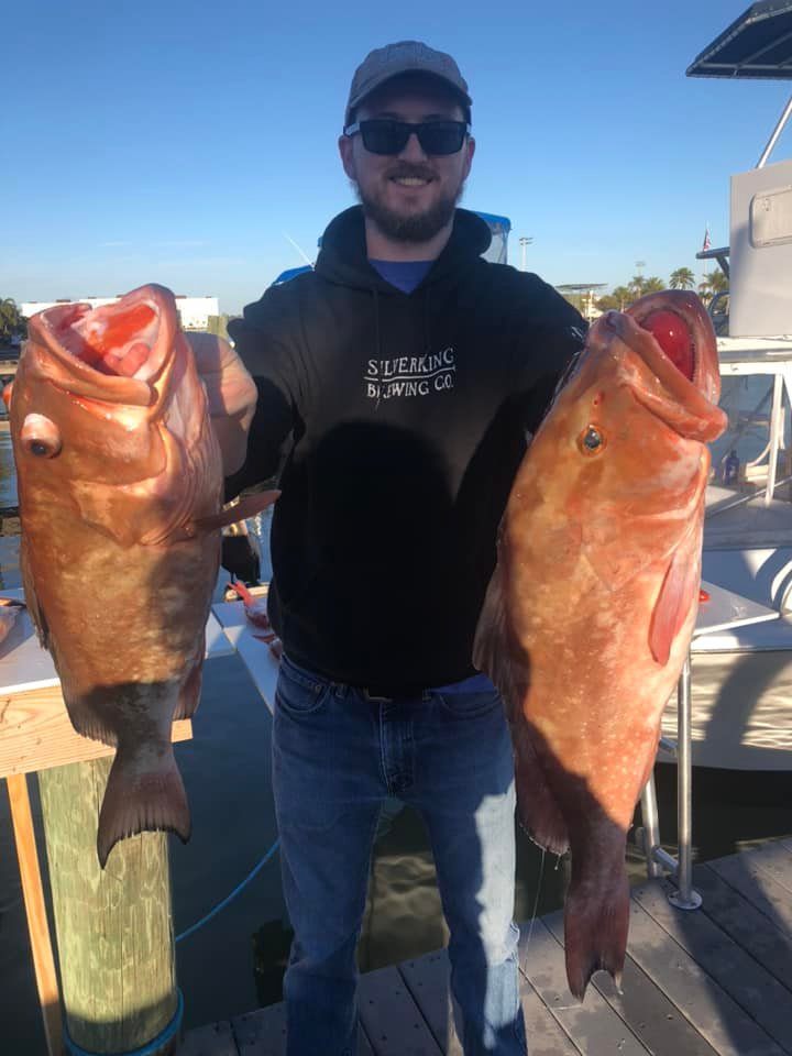 Angler with 2 large fish caught at Madeira Beach