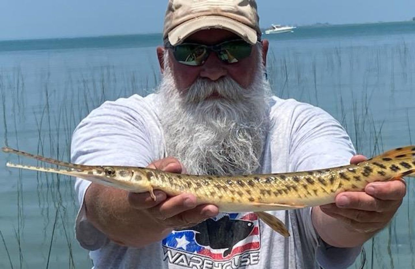 Longnose gar caught while fishing in Detroit MI