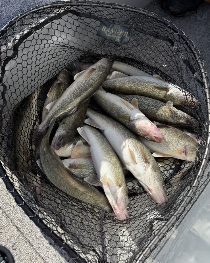 Lake St. Clair night walleye fishing charter boat with angler catching fish under lights