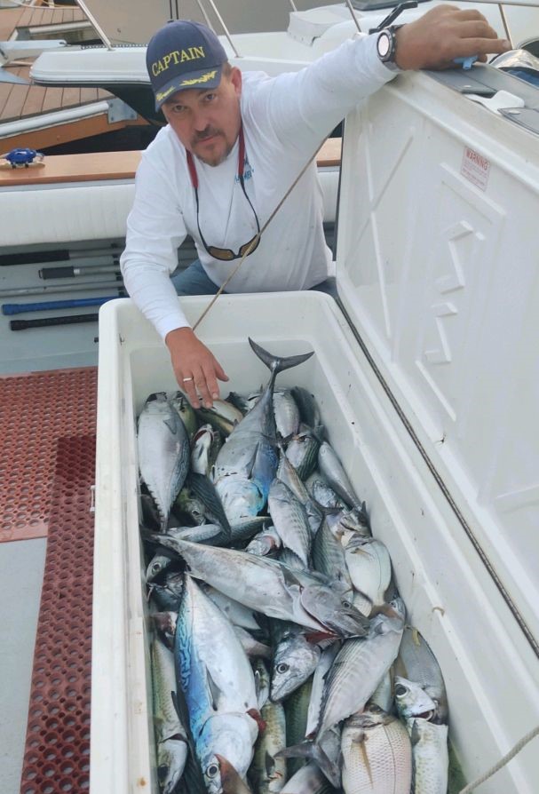 4 freshly caught fish in NY