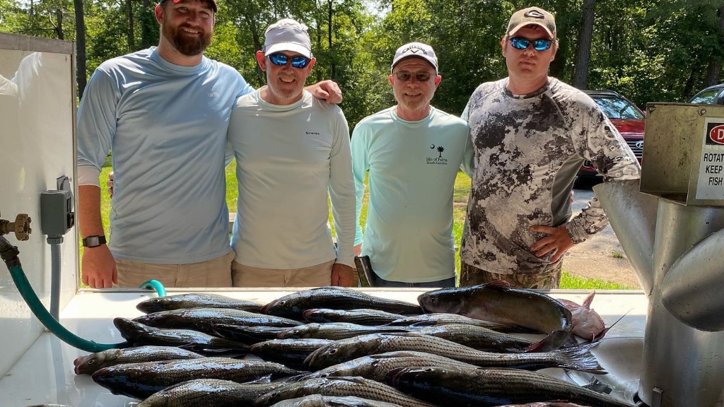 Four anglers enjoying a day of fishing at Clarks Hill