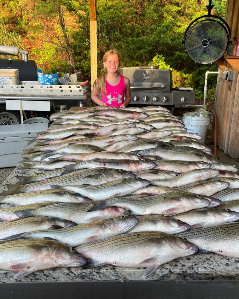 Impressive catch of 4 big fish at Clarks Hill