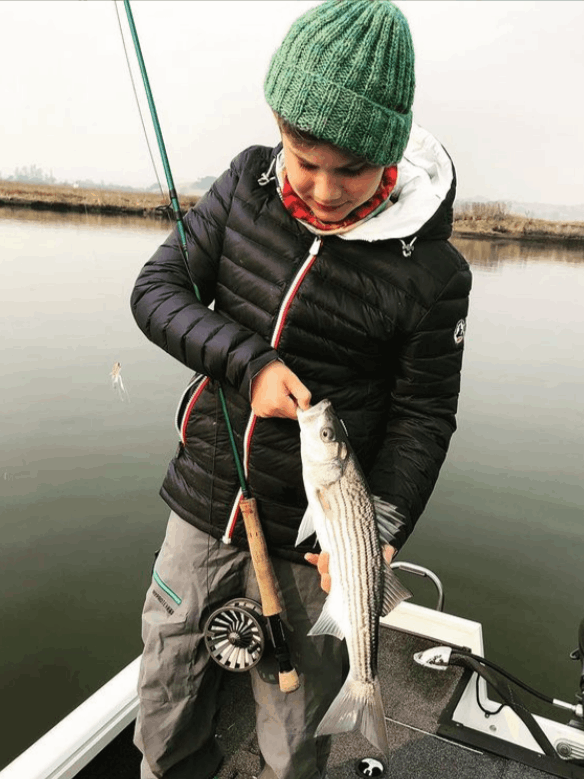 Striped bass caught in CA